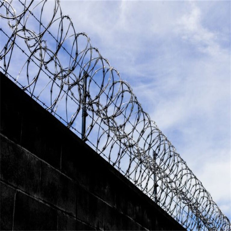 65 Razorblade CBT 65 Razor Wire
