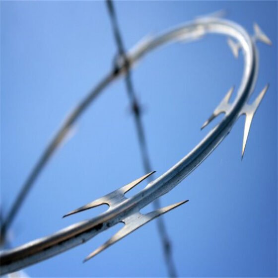 65 Razorblade CBT 65 Razor Wire