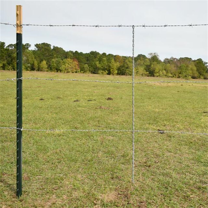 A barbed wire fence stay