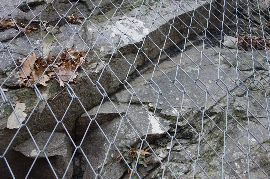 Tecco-Steel-Wire-Mesh-High-Tensile-Rockfall-Protection-Wire-Mesh